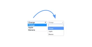 Select2 what is it? Where can you use it and how?