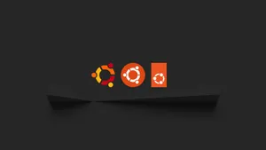 Linux for Developers: Why I Use Ubuntu (and Why It's a Game-Changer for Your Career)